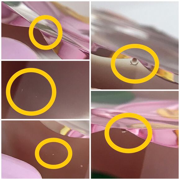 Perthshire 1987C Theobroma Cacao Flower Scallop Faceted Lampwork Paperweight COA - Picture 13 of 16